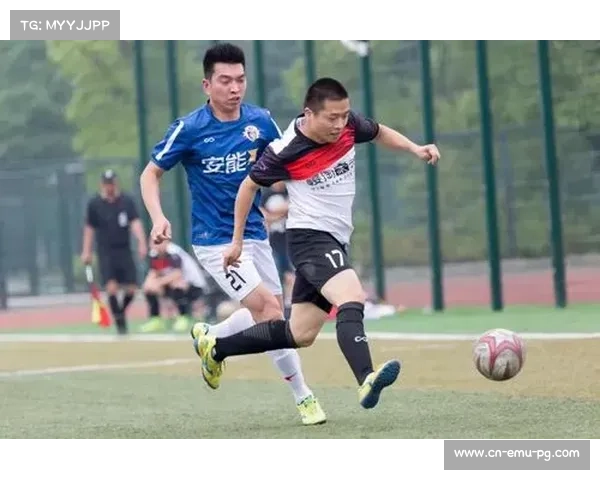 足球管理机构与职业联盟协作机制的运作模式